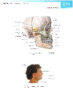 Sobotta Atlas of Human Anatomy  Head,Neck,Upper Limb Volume1 2006, page 86